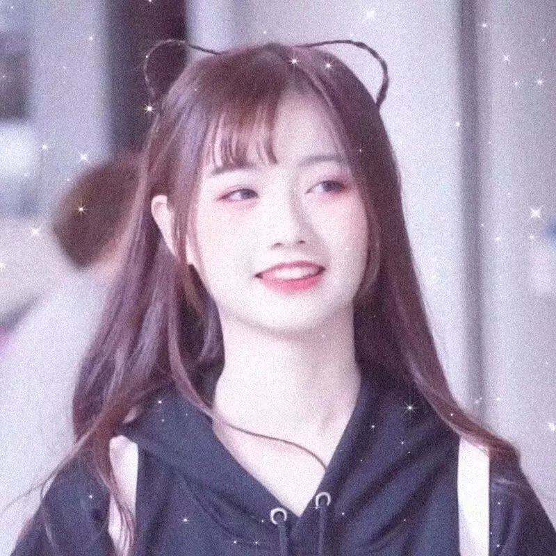 森林女王2024